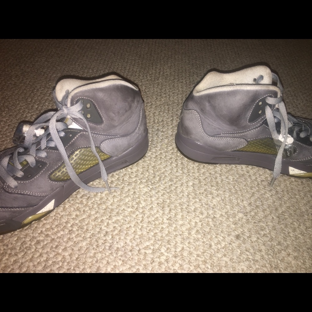 Wolf grey 5